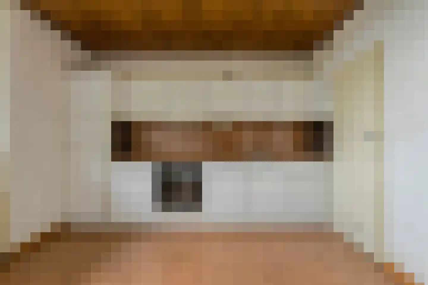 Boerhaavelaan 101 Oosterhout thumbnail 22