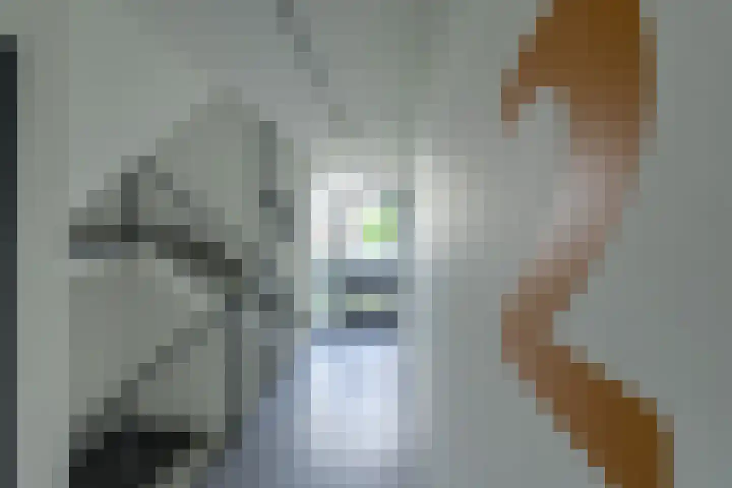 Boerhaavelaan 101 Oosterhout thumbnail 5