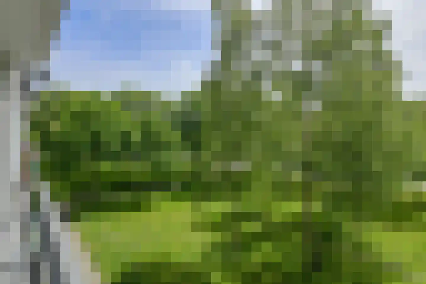Boerhaavelaan 109 Oosterhout thumbnail 10