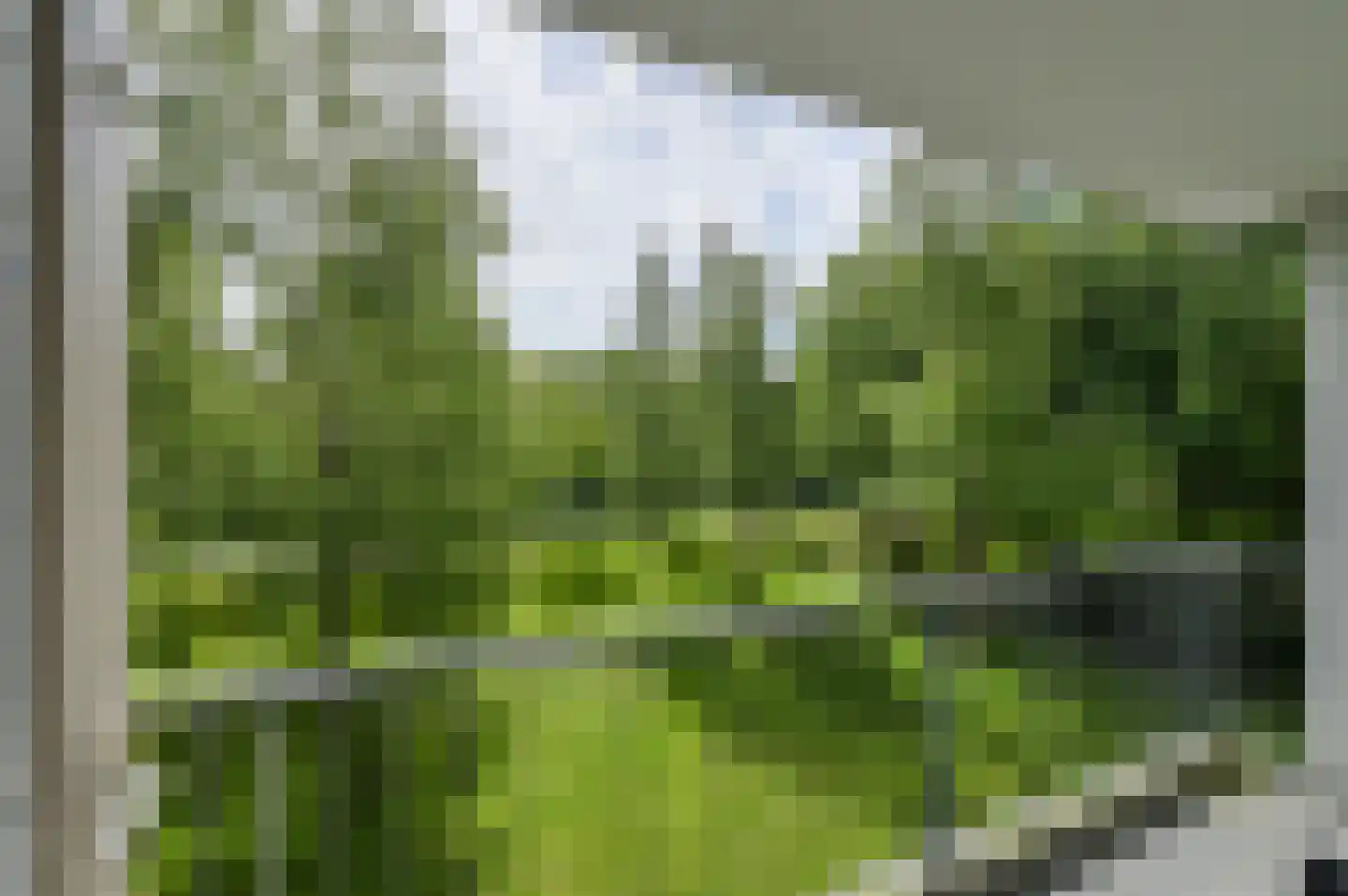 Boerhaavelaan 109 Oosterhout thumbnail 7