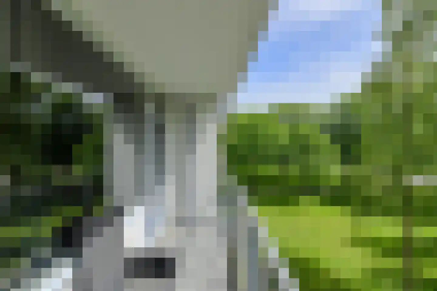 Boerhaavelaan 109 Oosterhout thumbnail 9