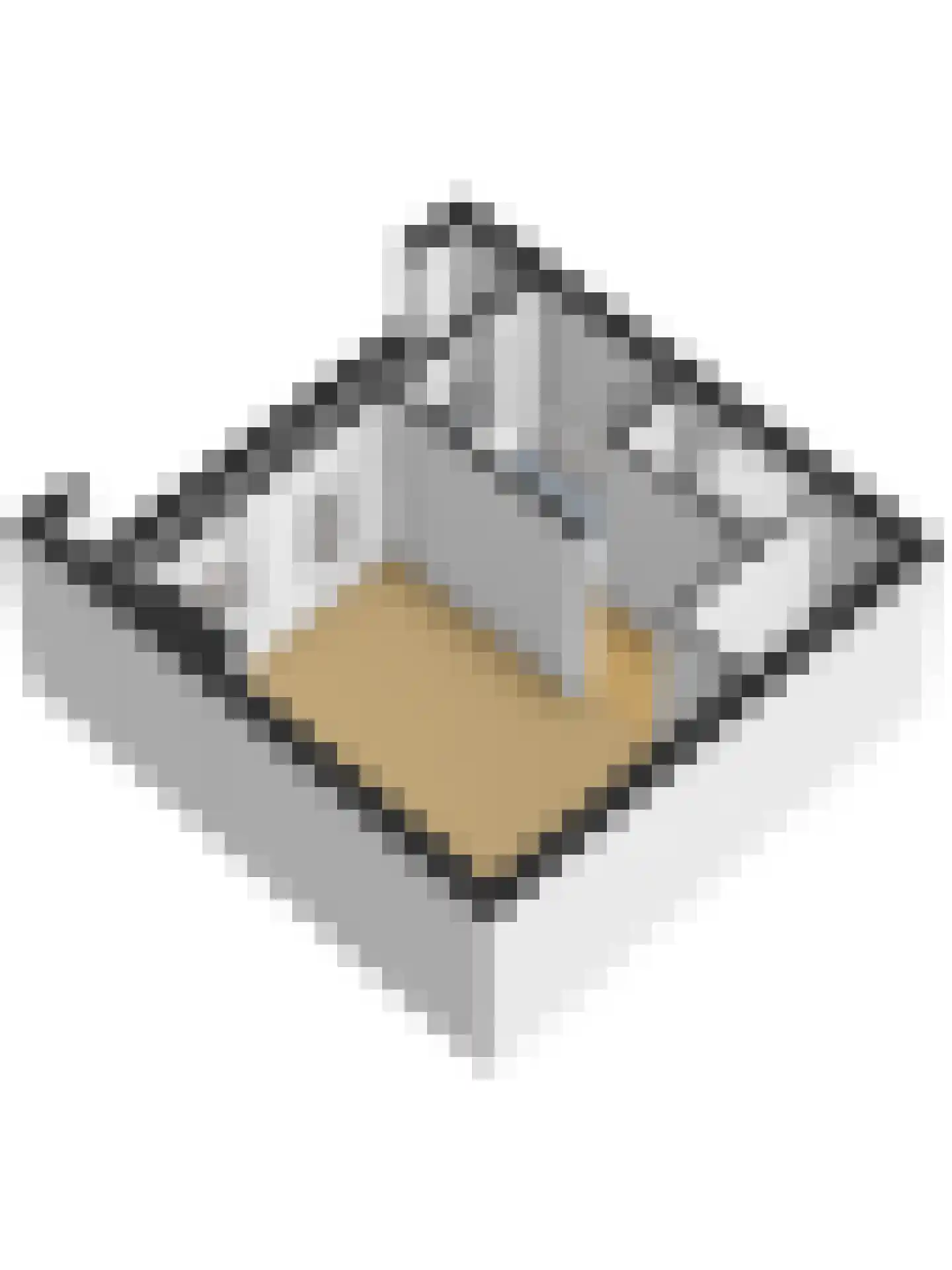 Boerhaavelaan 112 B 2 Schiedam thumbnail 40