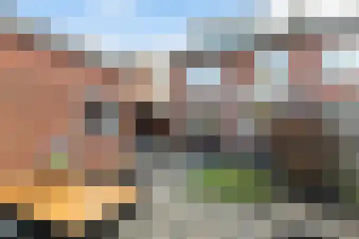 Boerhaavelaan 112 Eerbeek thumbnail 5