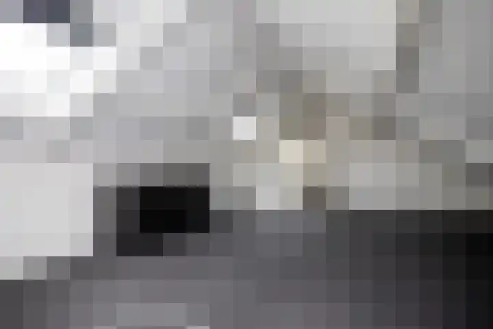 Boerhaavelaan 114 Eerbeek thumbnail 27