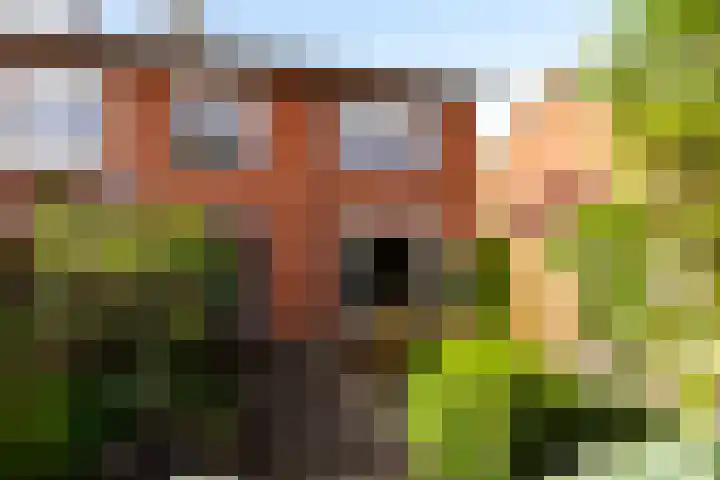Boerhaavelaan 114 Eerbeek thumbnail 30