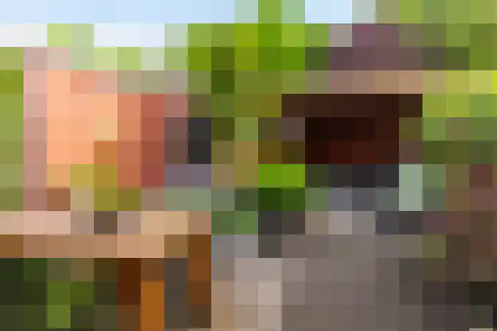 Boerhaavelaan 114 Eerbeek thumbnail 31