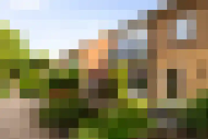 Boerhaavelaan 114 Eerbeek thumbnail 38