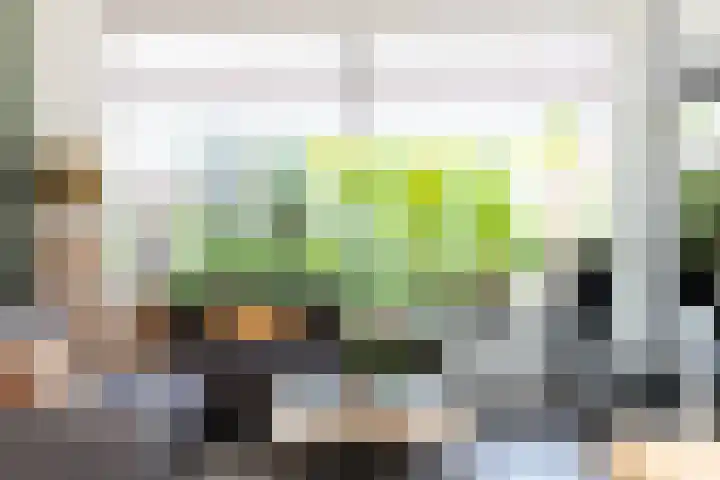 Boerhaavelaan 114 Eerbeek thumbnail 5