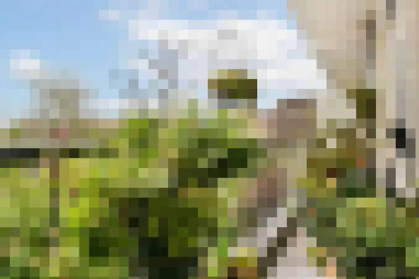 Boerhaavelaan 12 A Schiedam thumbnail 13