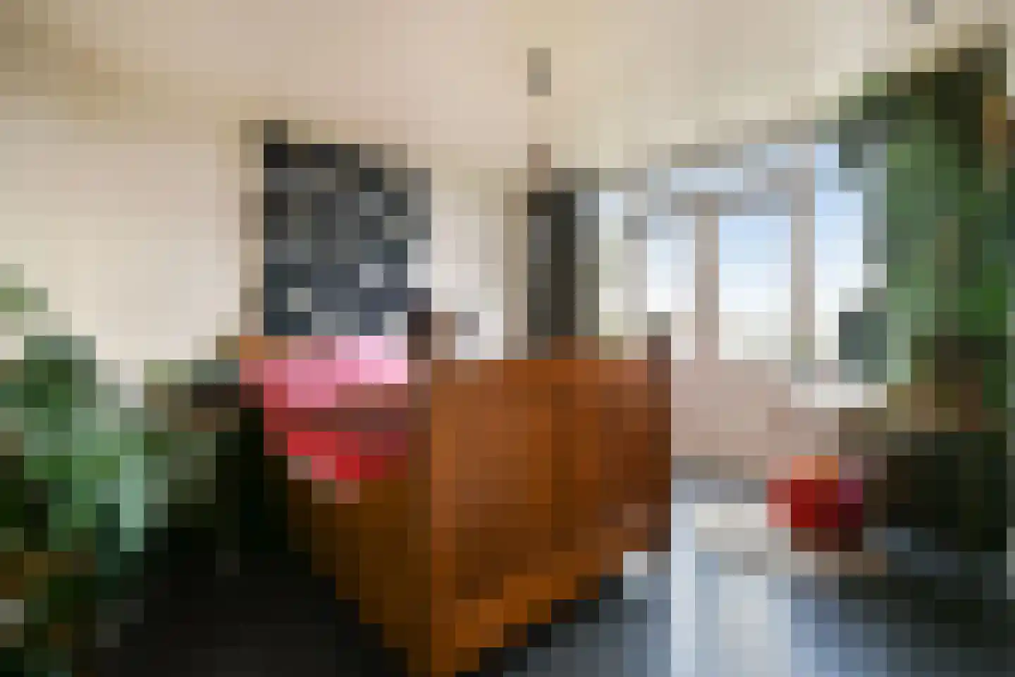 Boerhaavelaan 12 A Schiedam thumbnail 17