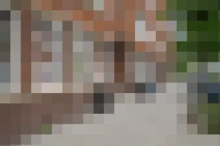 Boerhaavelaan 12 B Schiedam thumbnail 20