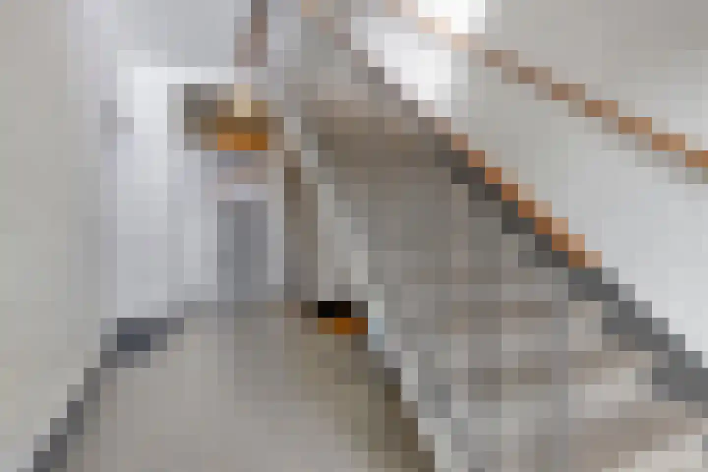 Boerhaavelaan 121 Helmond thumbnail 9