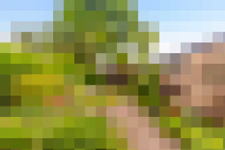 Boerhaavelaan 124 Eerbeek thumbnail 27