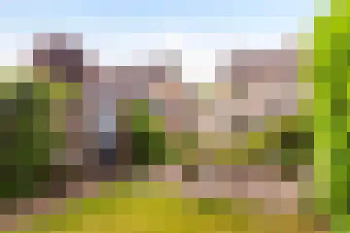 Boerhaavelaan 124 Eerbeek thumbnail 29