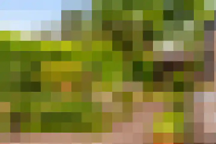 Boerhaavelaan 124 Eerbeek thumbnail 5