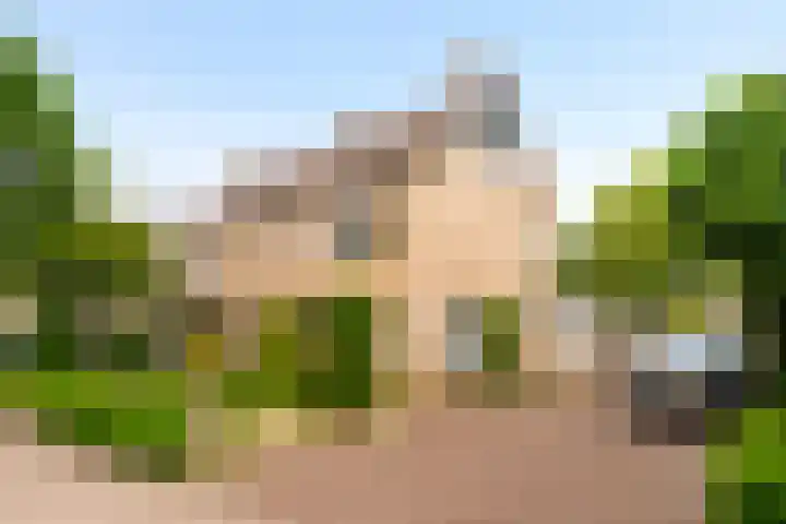 Boerhaavelaan 124 Eerbeek thumbnail 6