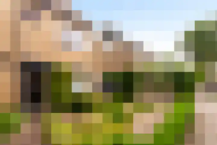 Boerhaavelaan 124 Eerbeek thumbnail 7