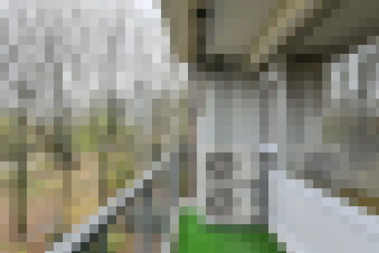 Boerhaavelaan 125 Oosterhout thumbnail 15