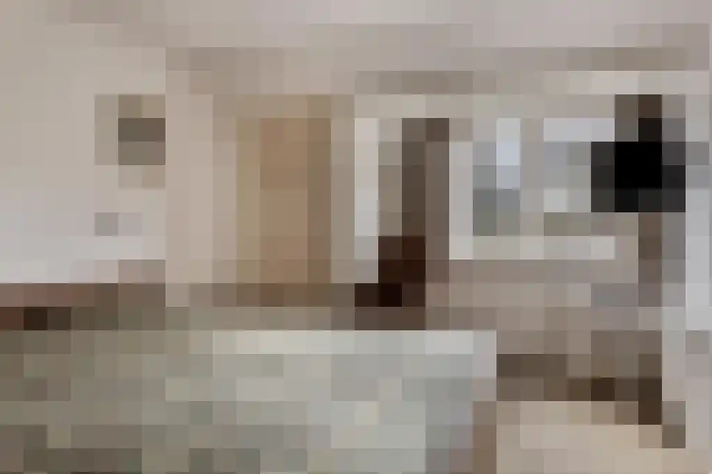 Boerhaavelaan 134 Hengelo thumbnail 20