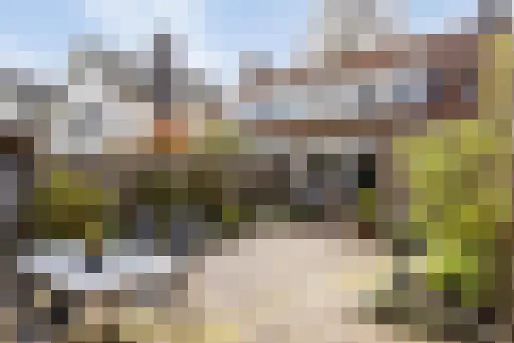 Boerhaavelaan 134 Hengelo thumbnail 32