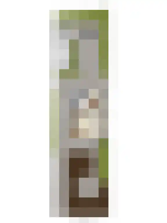 Boerhaavelaan 134 Hengelo thumbnail 47
