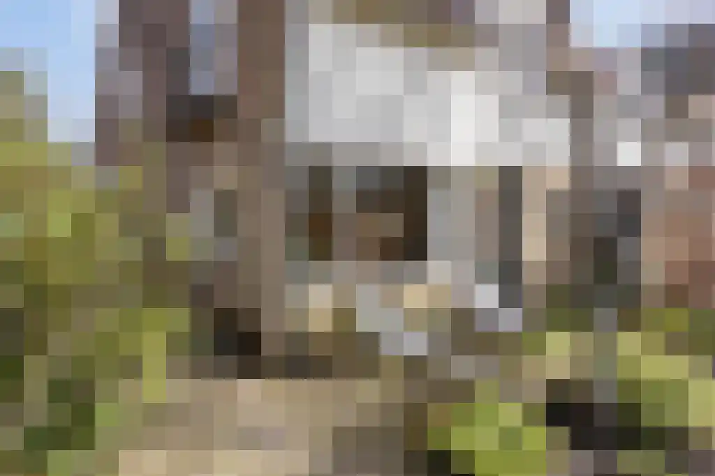 Boerhaavelaan 134 Hengelo thumbnail 7