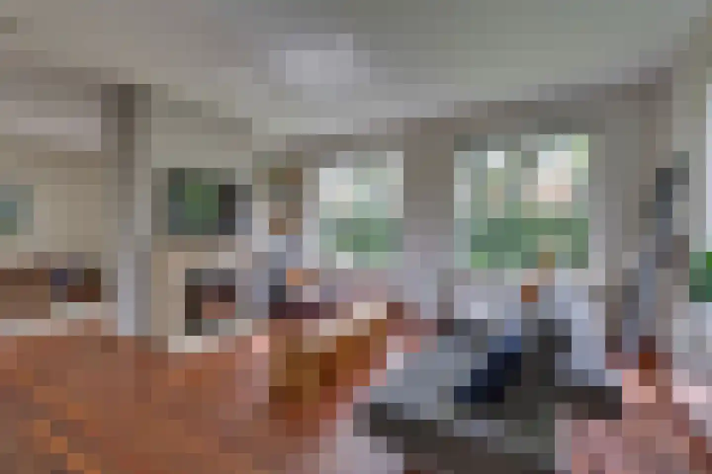 Boerhaavelaan 14 Hengelo thumbnail 13