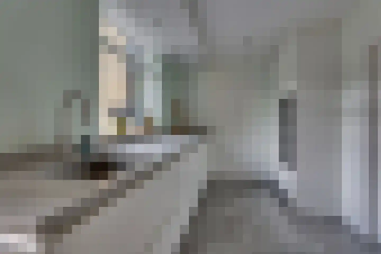 Boerhaavelaan 14 Hengelo thumbnail 20