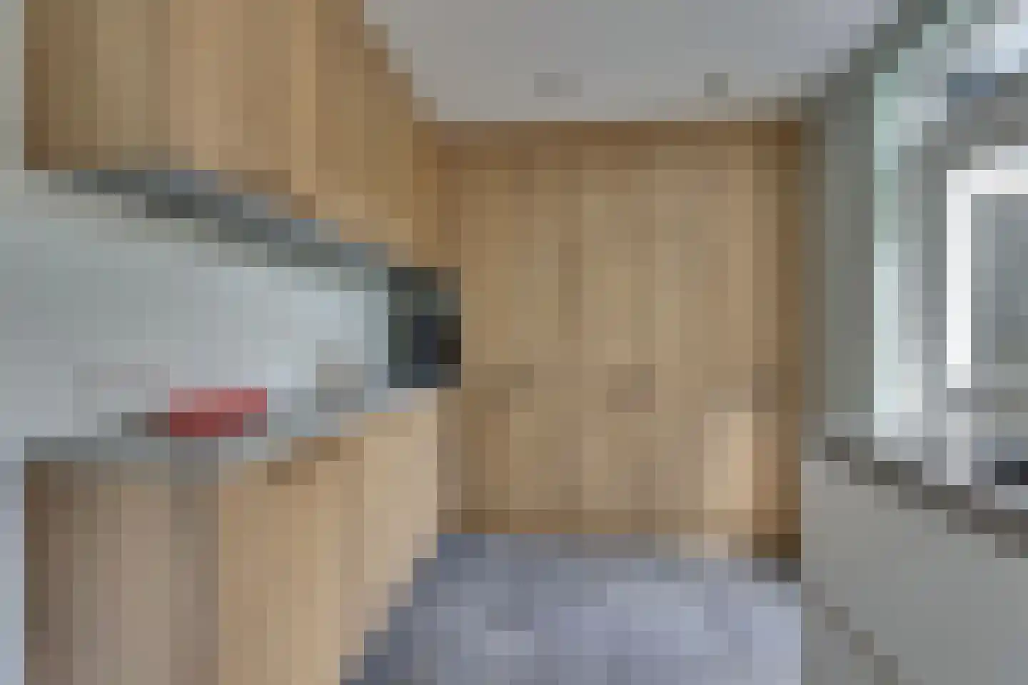 Boerhaavelaan 14 Hengelo thumbnail 21