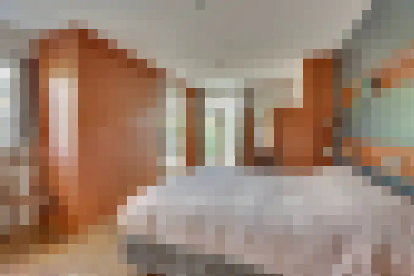 Boerhaavelaan 14 Hengelo thumbnail 24