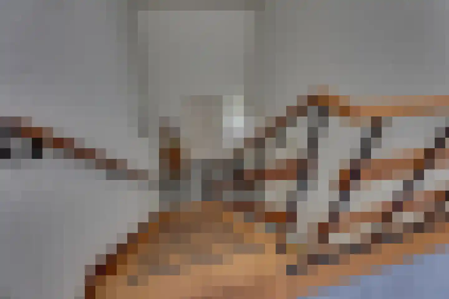 Boerhaavelaan 14 Hengelo thumbnail 29