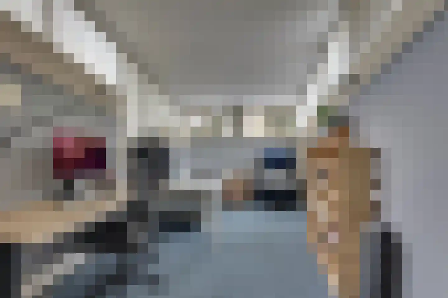 Boerhaavelaan 14 Hengelo thumbnail 33