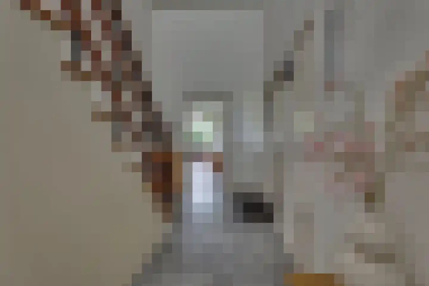 Boerhaavelaan 14 Hengelo thumbnail 9
