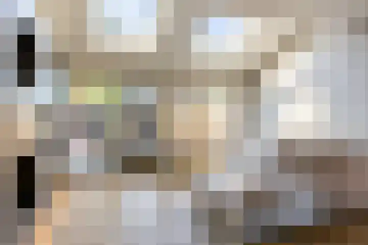 Boerhaavelaan 14 Schoonhoven thumbnail 11