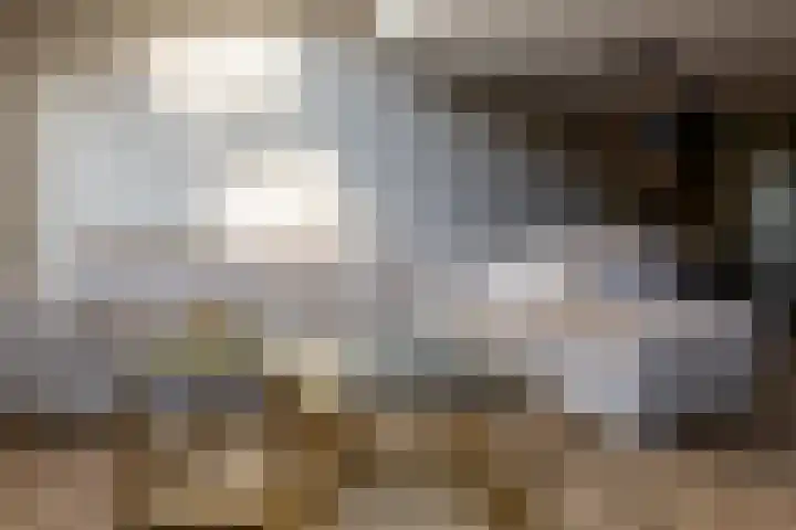 Boerhaavelaan 14 Schoonhoven thumbnail 12