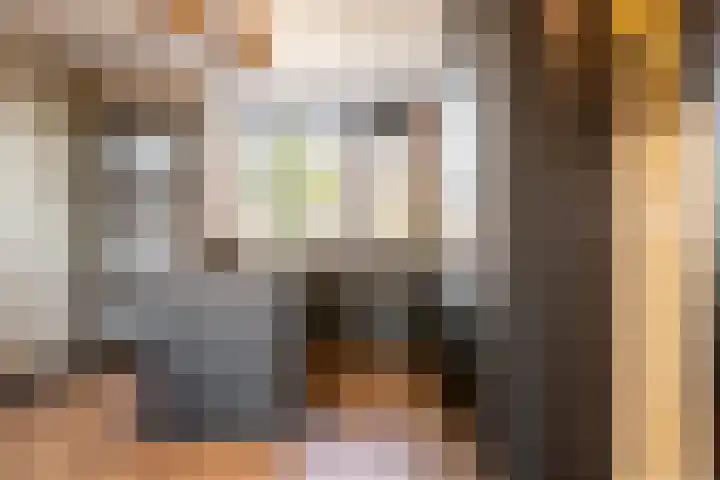 Boerhaavelaan 14 Schoonhoven thumbnail 15