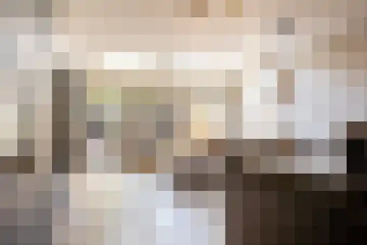 Boerhaavelaan 14 Schoonhoven thumbnail 20