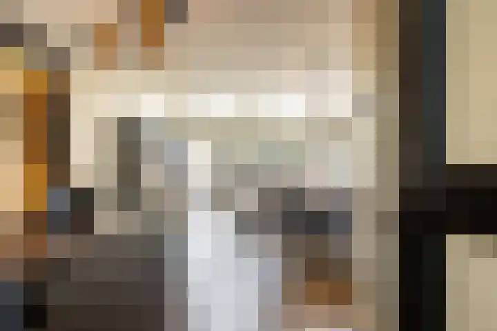 Boerhaavelaan 14 Schoonhoven thumbnail 23