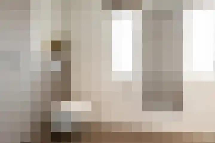 Boerhaavelaan 14 Schoonhoven thumbnail 26