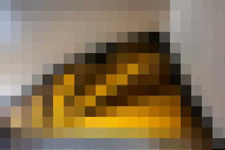 Boerhaavelaan 14 Schoonhoven thumbnail 27