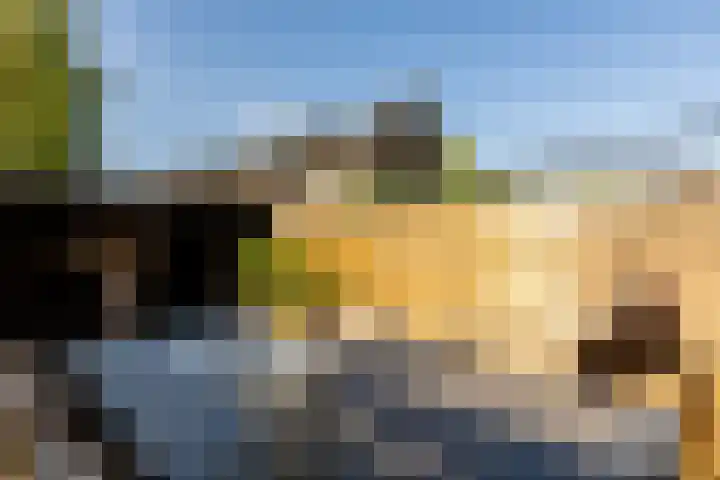 Boerhaavelaan 14 Schoonhoven thumbnail 44