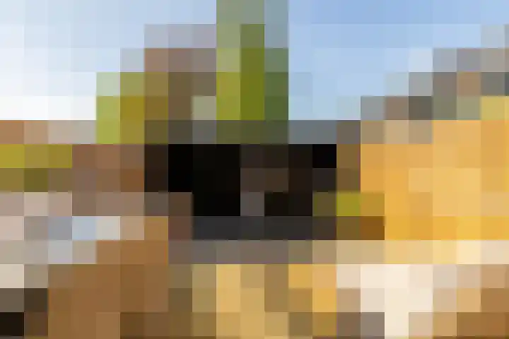 Boerhaavelaan 14 Schoonhoven thumbnail 45