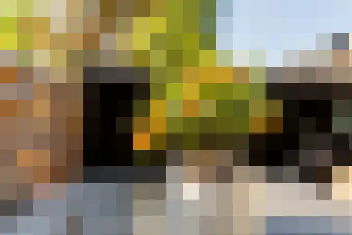 Boerhaavelaan 14 Schoonhoven thumbnail 47