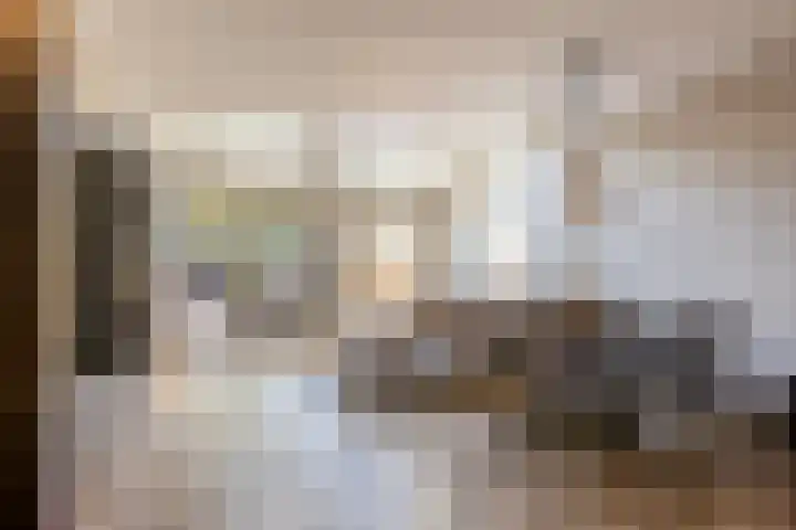 Boerhaavelaan 14 Schoonhoven thumbnail 5