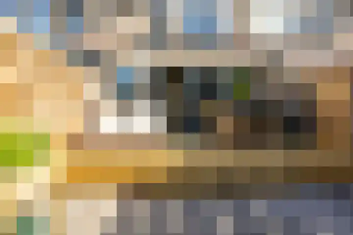 Boerhaavelaan 14 Schoonhoven thumbnail 50