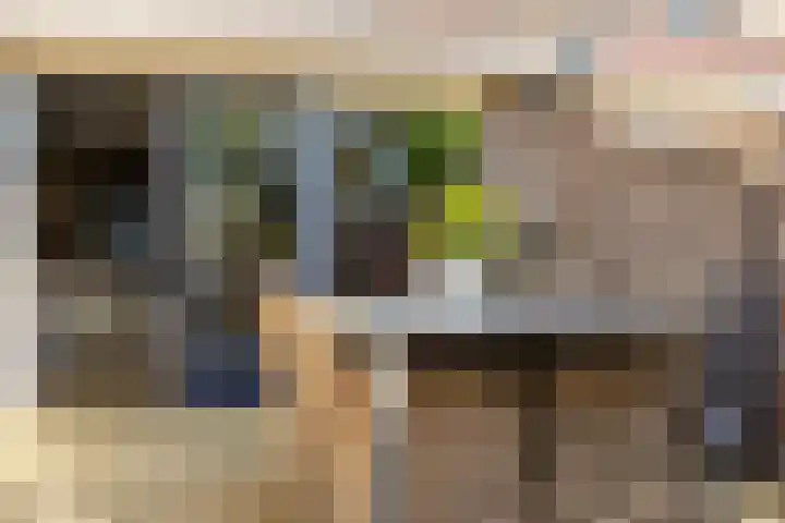 Boerhaavelaan 14 Schoonhoven thumbnail 51