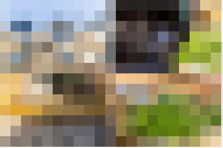 Boerhaavelaan 14 Schoonhoven thumbnail 53