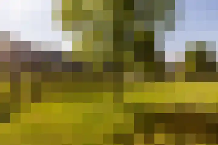 Boerhaavelaan 14 Schoonhoven thumbnail 55