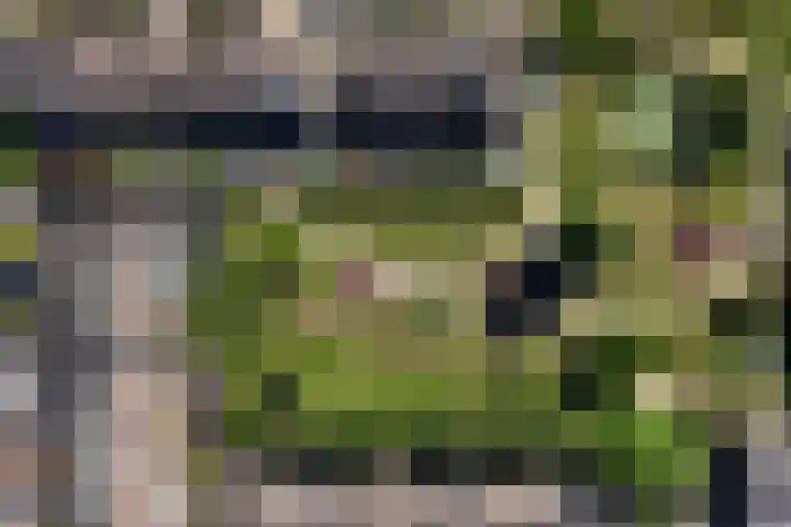 Boerhaavelaan 14 Schoonhoven thumbnail 56