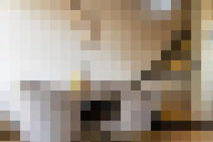Boerhaavelaan 14 Schoonhoven thumbnail 6